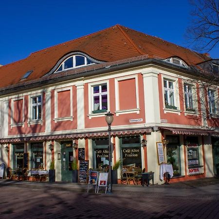 Cafe Alice & Pension Gmbh Potsdam Exteriör bild