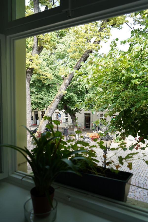 Cafe Alice & Pension Gmbh Potsdam Exteriör bild